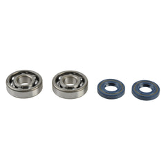 Crankshaft Rebuilding Kit: Bearing and Oil Seal Kit-0