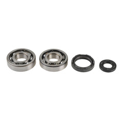 Crankshaft Rebuilding Kit: Bearing and Oil Seal Kit-0