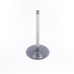 Intake Valve-0