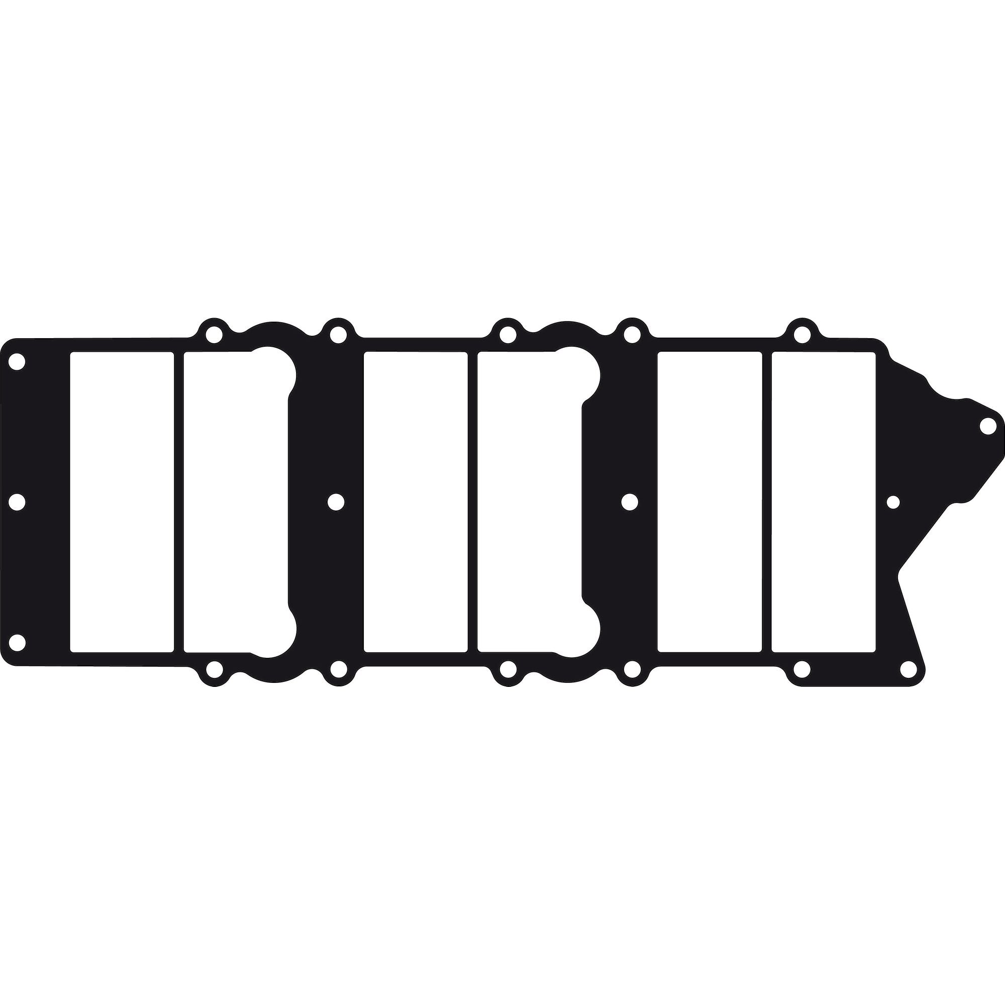 Intake Gasket-0