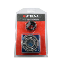 Crankshaft Rebuilding Kit: Bearing and Oil Seal Kit-1