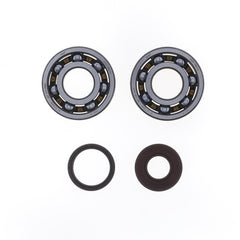 Crankshaft Rebuilding Kit: Bearing and Oil Seal Kit-1