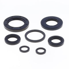 Engine Oil Seals Kit-1