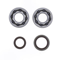 Crankshaft Rebuilding Kit: Bearing and Oil Seal Kit-1