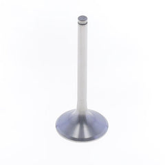 Exhaust Valve-0