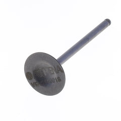 Exhaust Valve-1
