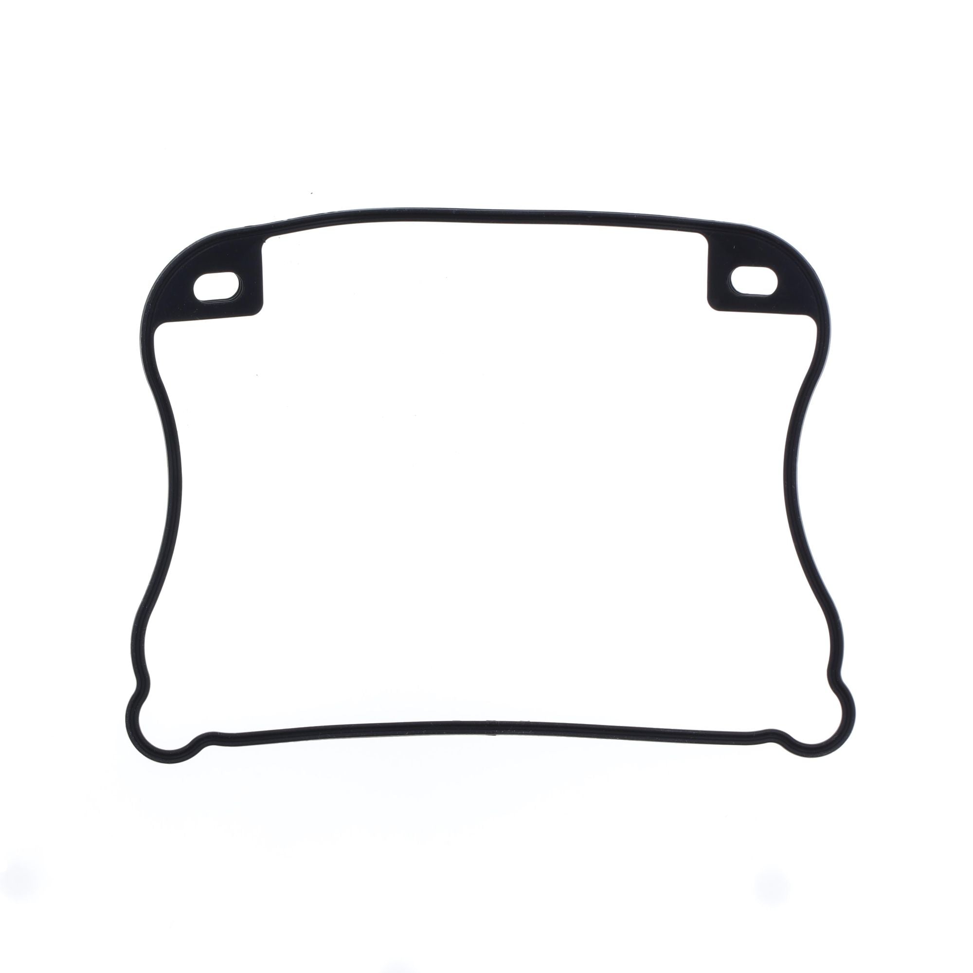 Lower Rocker Cover Gasket-0