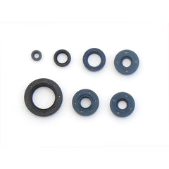 Engine Oil Seals Kit-0