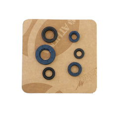 Engine Oil Seals Kit-1