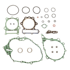 Complete Gasket Kit (oil seals not included)-0