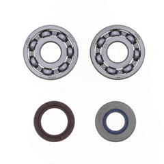 Crankshaft Rebuilding Kit: Bearing and Oil Seal Kit-1