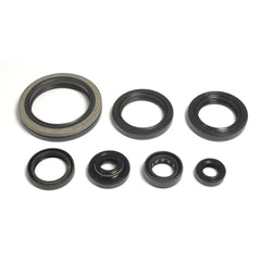Engine Oil Seals Kit-0