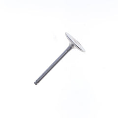 Intake Valve-1