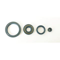 Engine Oil Seals Kit-0