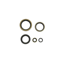 Engine Oil Seals Kit-0
