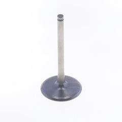Intake Valve-0