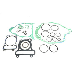 Complete Gasket Kit (oil seals not included)-0