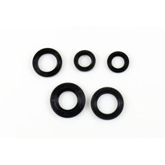 Engine Oil Seals Kit-0