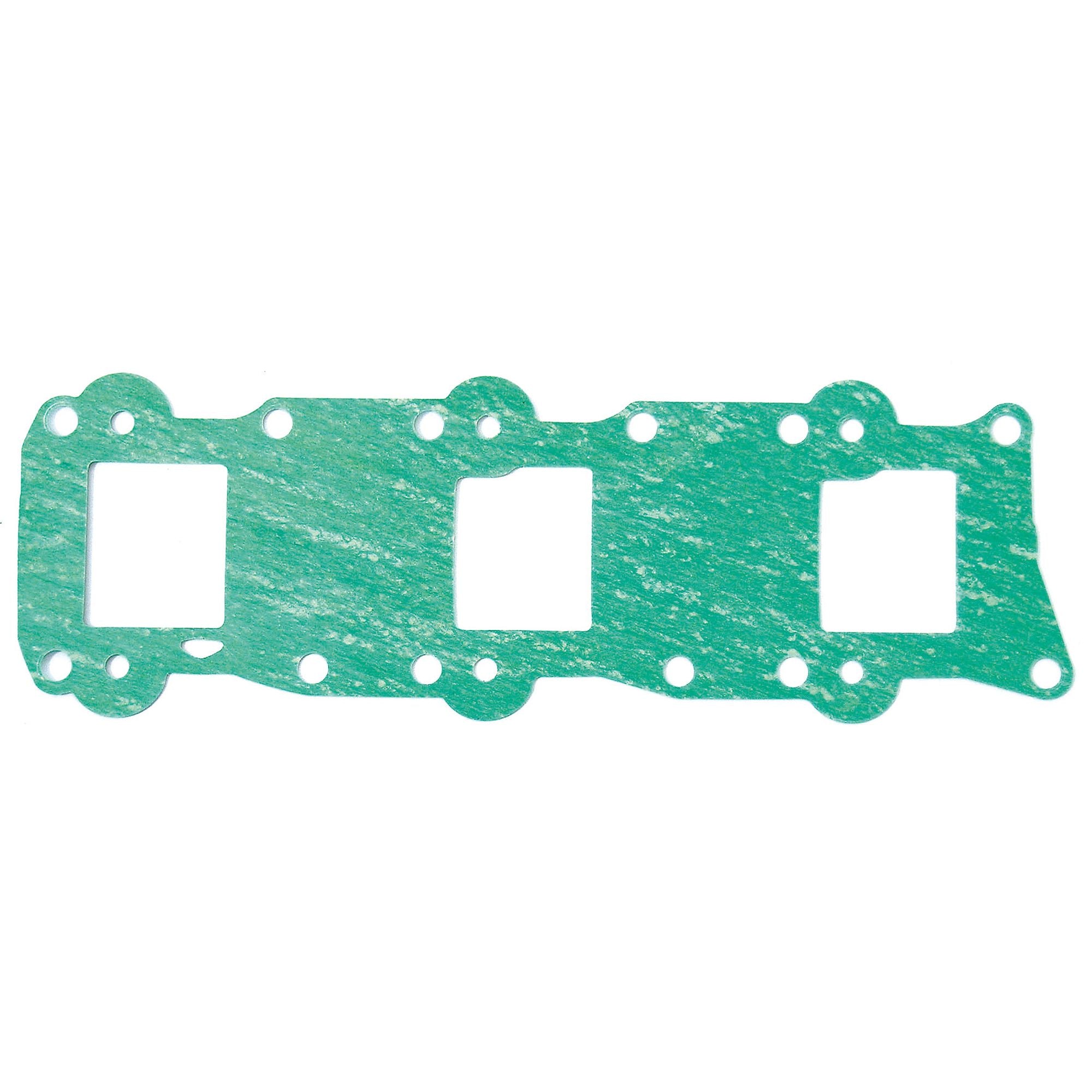 Intake Gasket-0