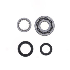 Crankshaft Rebuilding Kit: Bearing and Oil Seal Kit-1