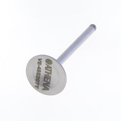Exhaust Valve-1