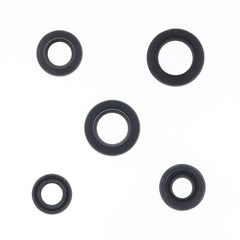 Engine Oil Seals Kit-1