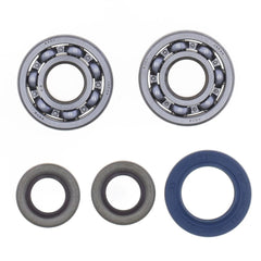Crankshaft Rebuilding Kit: Bearing and Oil Seal Kit-1