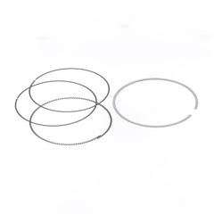 Ring Set Ø 100 mm for Athena Piston-1