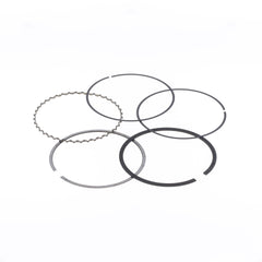 Ring Ø 85 mm for Athena Piston-1