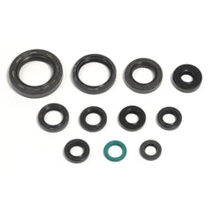Engine Oil Seals Kit-0