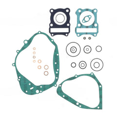 Complete Gasket Kit (oil seals not included)-0