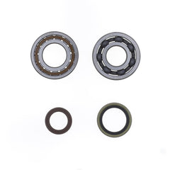 Crankshaft Rebuilding Kit: Bearing and Oil Seal Kit-1