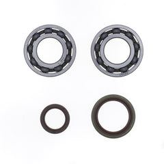 Crankshaft Rebuilding Kit: Bearing and Oil Seal Kit-1