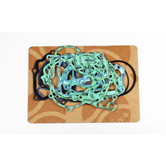 Complete Gasket Kit (oil seals not included)-1