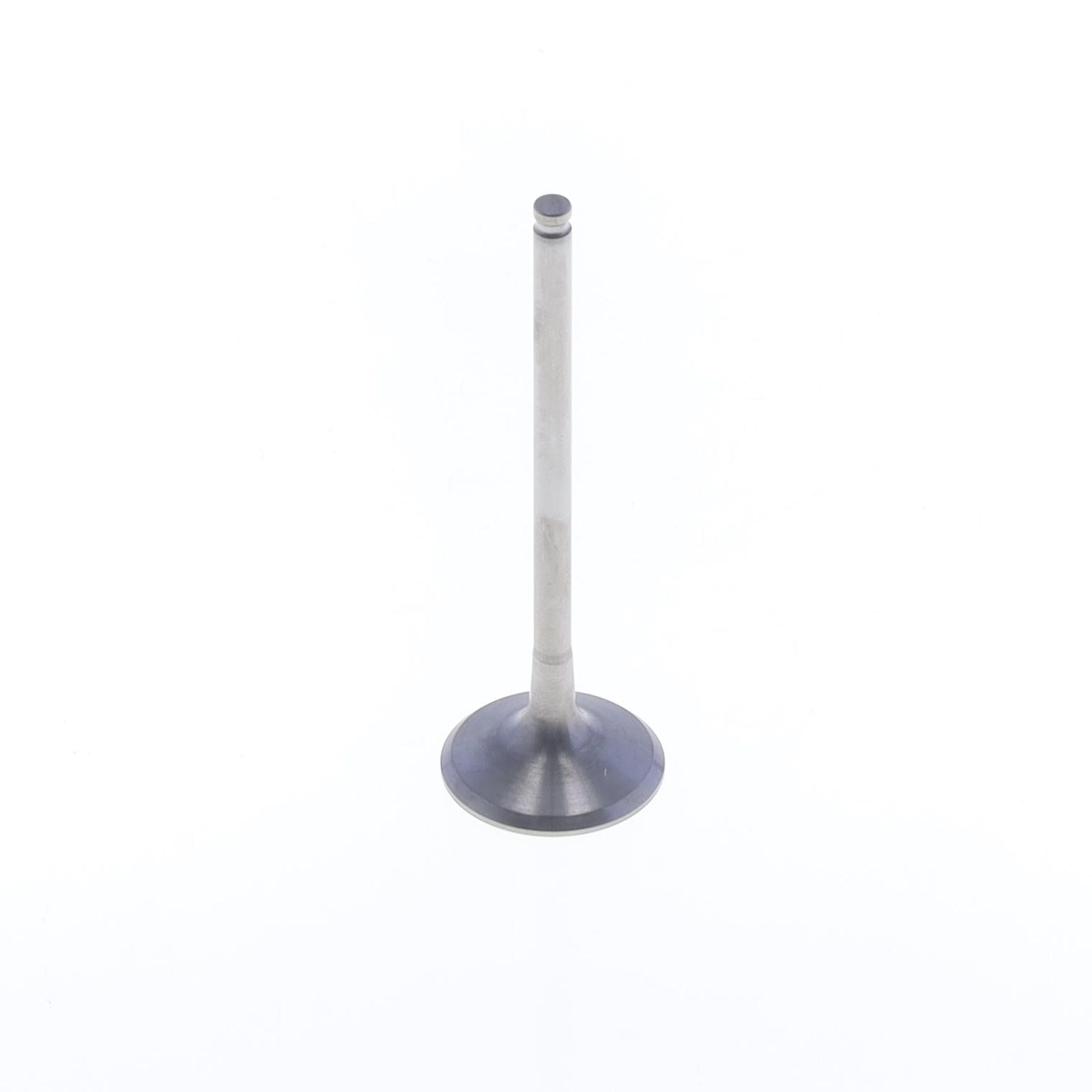 Exhaust Valve-0