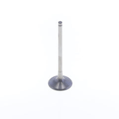 Exhaust Valve-0