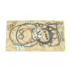 Complete Gasket Kit (oil seals not included)-1