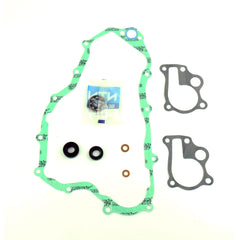 Water Pump Gasket Kit-0