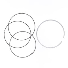 Ring Set Ø 100 mm for Athena Piston-0