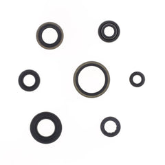 Engine Oil Seals Kit-1