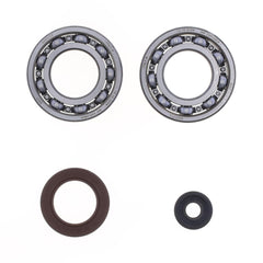 Crankshaft Rebuilding Kit: Bearing and Oil Seal Kit-1