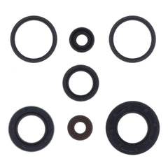 Engine Oil Seals Kit-0