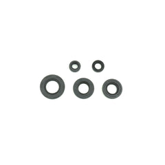 Engine Oil Seals Kit-0