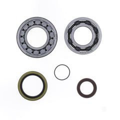 Crankshaft Rebuilding Kit: Bearing and Oil Seal Kit-1