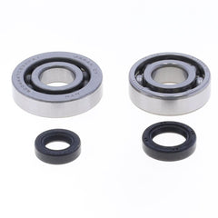 Crankshaft Rebuilding Kit: Bearing and Oil Seal Kit-1
