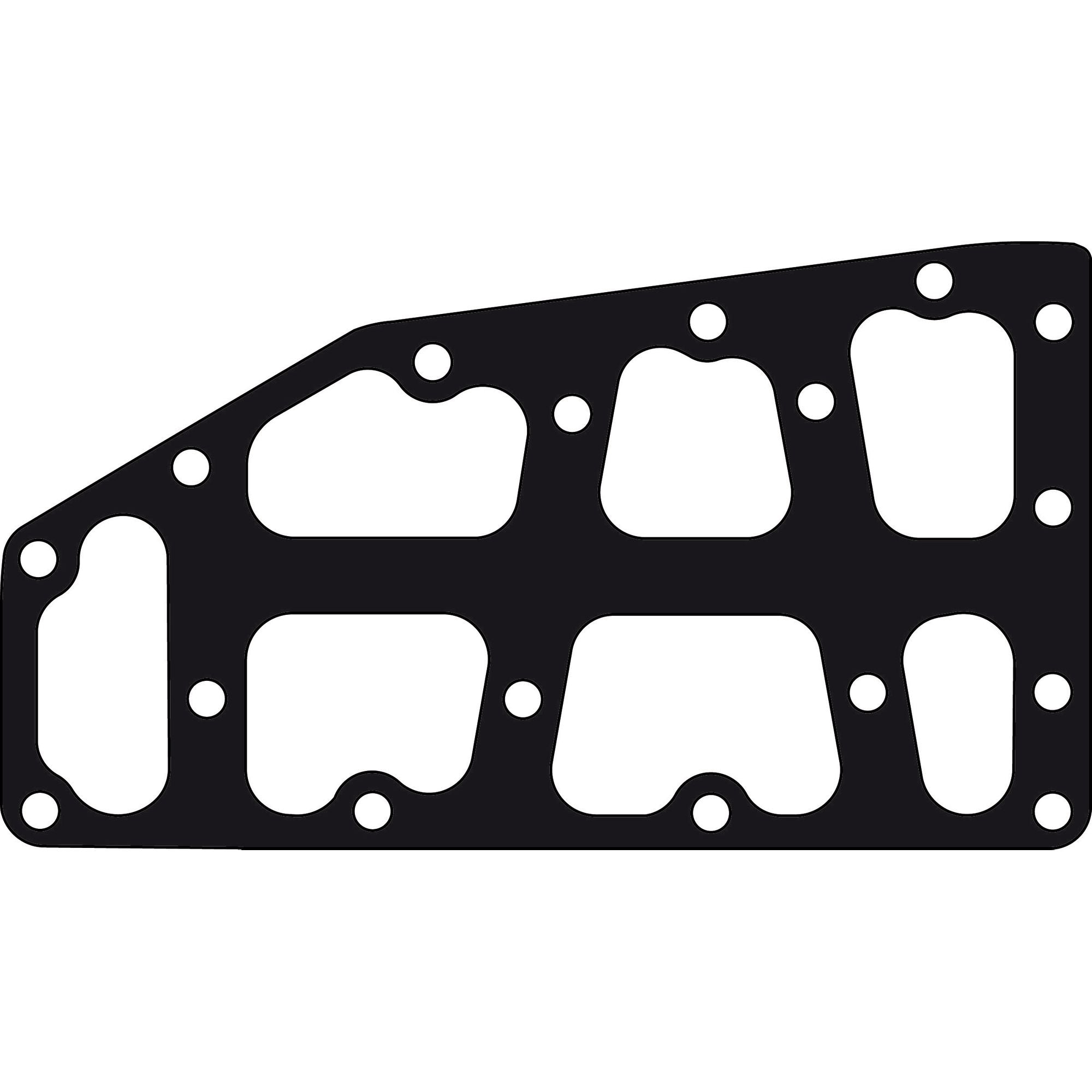 Guarnizione flangia-0