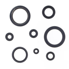 Engine Oil Seals Kit-1