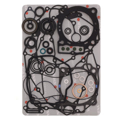 Complete Gasket Kit (oil seals included)-1