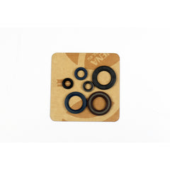 Engine Oil Seals Kit-1