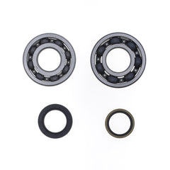 Crankshaft Rebuilding Kit: Bearing and Oil Seal Kit-1